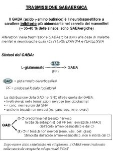 TRASMISSIONE GABAERGICA Il GABA acido gamino butirrico il