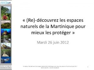 Redcouvrez les espaces naturels de la Martinique pour