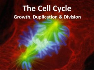 The Cell Cycle Growth Duplication Division Cell Growth