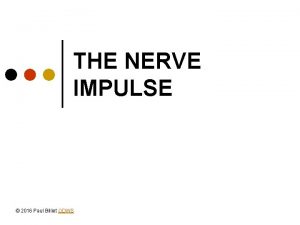 THE NERVE IMPULSE 2016 Paul Billiet ODWS Cells