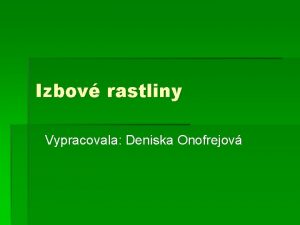 Izbov rastliny Vypracovala Deniska Onofrejov Fikus Fikus je