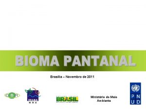 Monitoramento dos Biomas Brasileiros Braslia Novembro de 2011