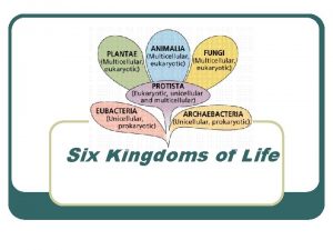 Six Kingdoms of Life Prokaryotes Domain Archaea Bacteria
