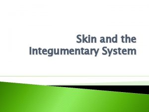 Skin and the Integumentary System Integumentary System Cutaneous