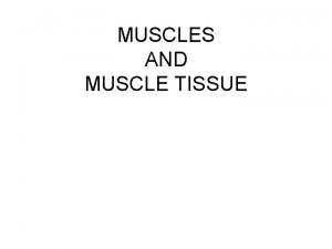 MUSCLES AND MUSCLE TISSUE Muscles The most distinguishing