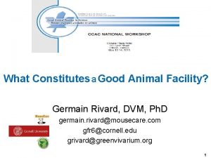 What Constitutes a Good Animal Facility Germain Rivard