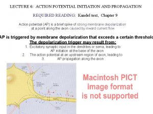 LECTURE 6 ACTION POTENTIAL INITIATION AND PROPAGATION REQUIRED