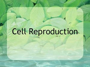 Cell Reproduction Cell Reproduction The continuity of life