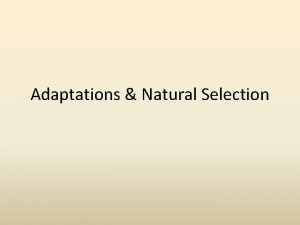 Adaptations Natural Selection NICHE A habitat supplying factors