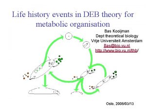 Life history events in DEB theory for metabolic