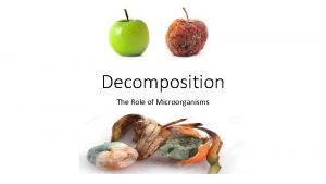 Decomposition The Role of Microorganisms What is Decomposition