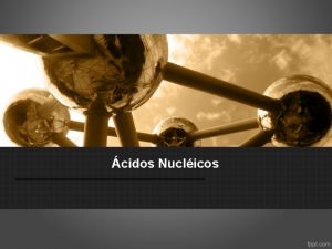 cidos Nuclicos Introduo cidos nucleicos Os cidos nuclicos