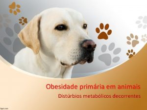 Obesidade primria em animais Distrbios metablicos decorrentes Obesidade