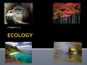 Chapters 2 5 ECOLOGY Principles of Ecology Chapter