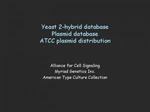 Yeast 2 hybrid database Plasmid database ATCC plasmid
