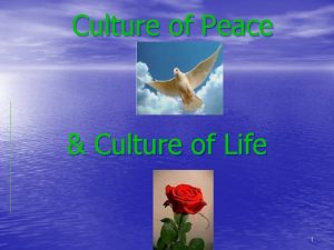 Culture of Peace Culture of Life 1 Culture