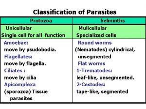 Classification of Parasites Protozoa Unicellular Single cell for