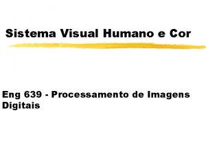 Sistema Visual Humano e Cor Eng 639 Processamento