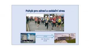 Pohyb pro zdrav a oxidan stres Brnnsk beck