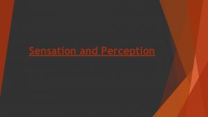 Sensation and Perception Sensation and Perception Sensation How