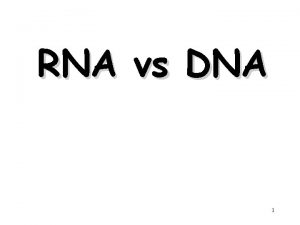 RNA vs DNA 1 RNA Differs from DNA