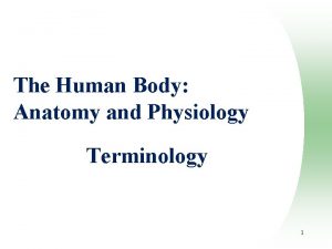 The Human Body Anatomy and Physiology Terminology 1