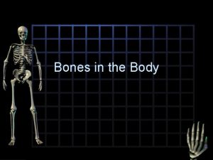 Bones in the Body Cranium Also known as