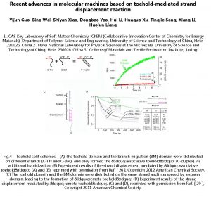 Recent advances in molecular machines based on toeholdmediated