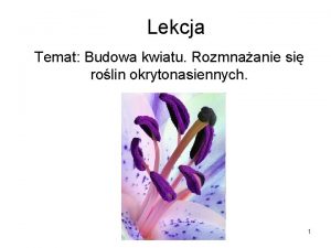 Lekcja Temat Budowa kwiatu Rozmnaanie si rolin okrytonasiennych