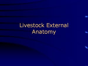 Livestock External Anatomy Commercial Livestock Used in the