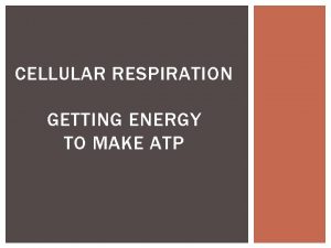CELLULAR RESPIRATION GETTING ENERGY TO MAKE ATP CELLULAR