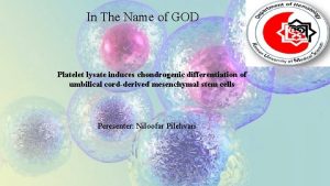 In The Name of GOD Platelet lysate induces