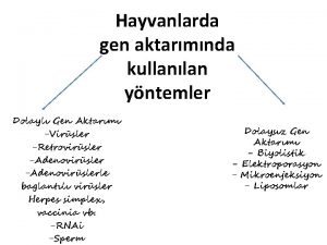 Hayvanlarda gen aktarmnda kullanlan yntemler Dolayl Gen Aktarm