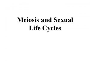 Meiosis and Sexual Life Cycles Hereditary Similarity and