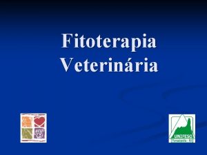 Fitoterapia Veterinria CONCEITO FITO Plantas com propriedades medicinais