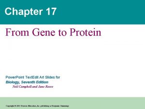 Chapter 17 From Gene to Protein Power Point