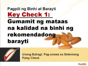 Pagpili ng Binhi at Barayti Key Check 1