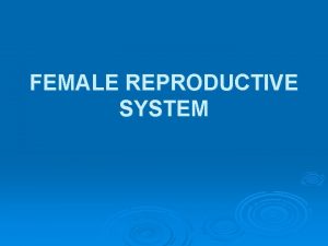 FEMALE REPRODUCTIVE SYSTEM A Structure The female gonads