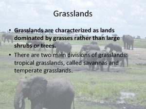 Grasslands Grasslands are characterized as lands dominated by