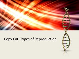 Copy Cat Types of Reproduction Copy Cat Types