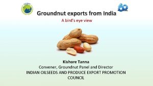 Groundnut exports from India A birds eye view