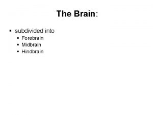 The Brain subdivided into Forebrain Midbrain Hindbrain Anatomical