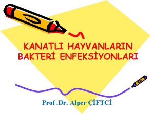 KANATLI HAYVANLARIN BAKTER ENFEKSYONLARI Prof Dr Alper FTC