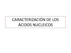 CARACTERIZACIN DE LOS CIDOS NUCLEICOS RFLP Secuenciacin Caracterizacin