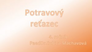 Potravov reazec 4 ronk Paed Dr ubica Machavov