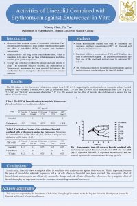 Activities of Linezolid Combined with Erythromycin against Enterococci