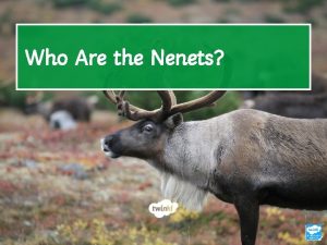 Who Are the Nenets Learning Objective To understand