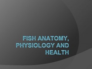 FISH ANATOMY PHYSIOLOGY AND HEALTH The anatomy of