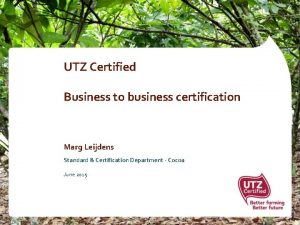 UTZ Certified Business to business certification Marg Leijdens