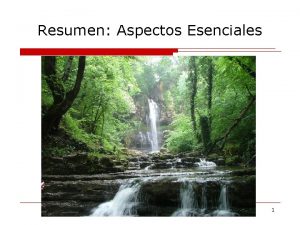 Resumen Aspectos Esenciales 1 Resumen Aspectos Esenciales Adultos